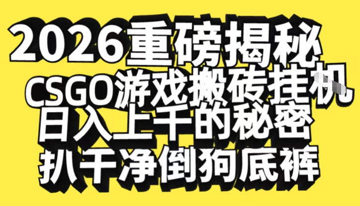 2026开年重磅解密，CSGO游戏搬砖挂G日入1k+的秘密，把倒狗的底裤扒干【揭秘】-智云网