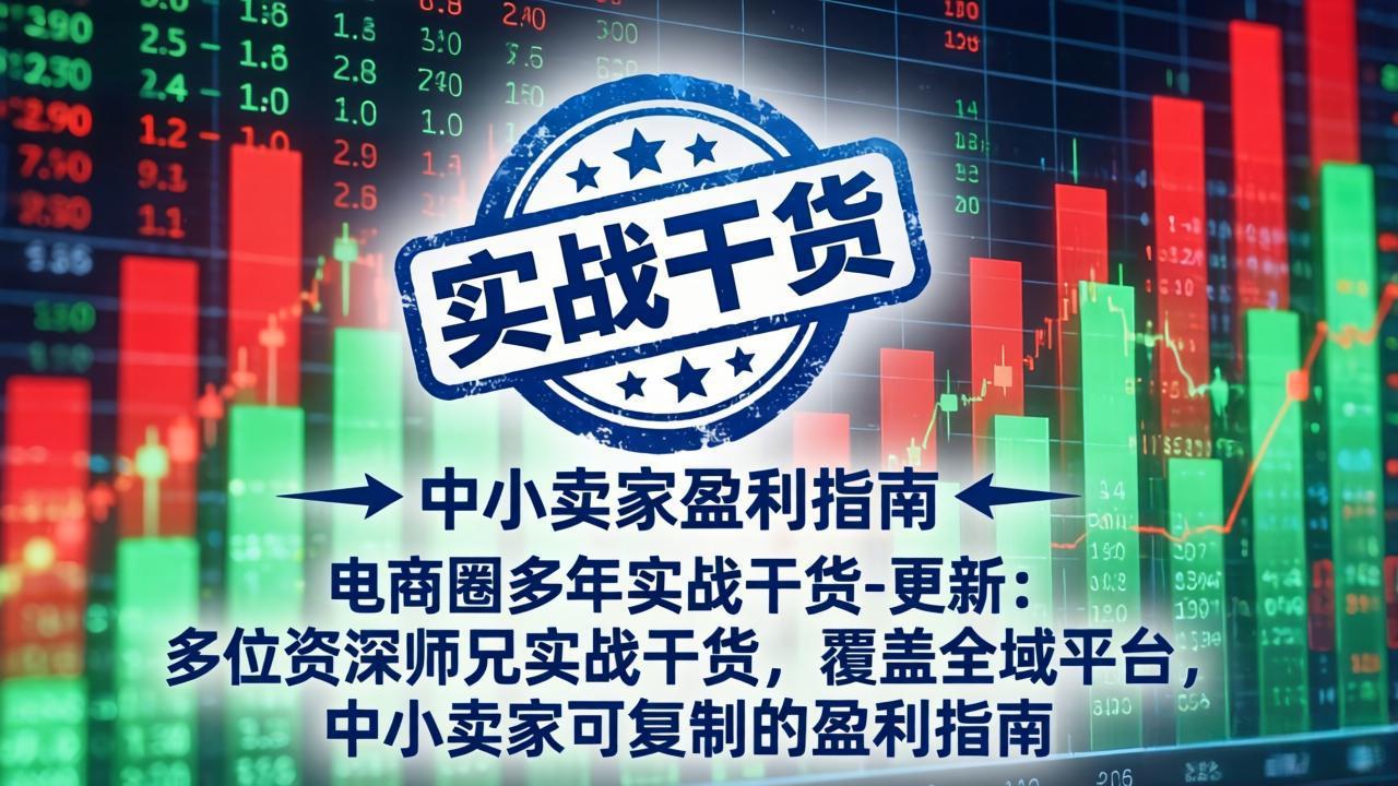 电商圈多年实战干货-更新4月：多位资深师兄实战干货，覆盖全域平台，中小卖家可复制的盈利指南-智云网