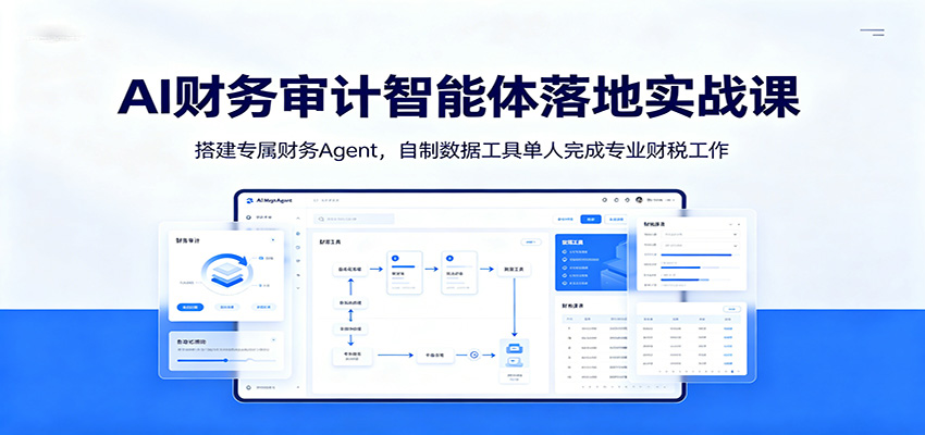 AI财务审计智能体落地实战课：搭建专属财务Agent，自制数据工具单人完成专业财税工作-智云网