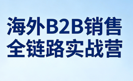 雨哥·海外B2B销售全链路实战营-智云网