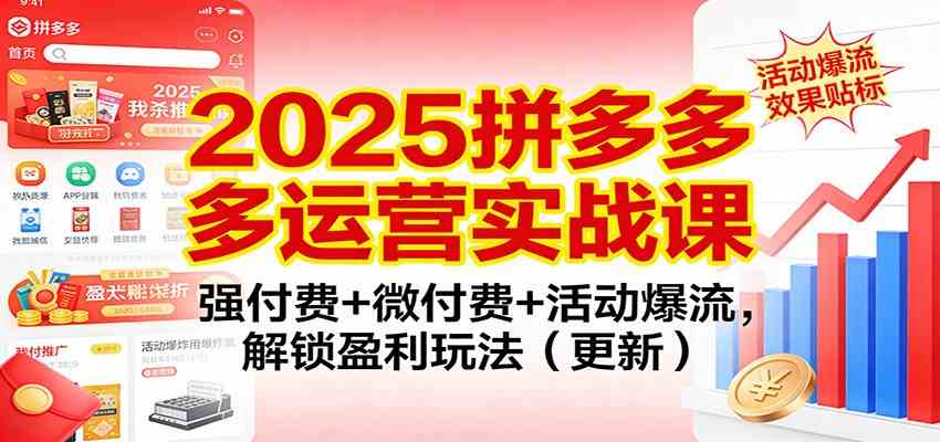 2025拼多多运营实战课：强付费+微付费+活动爆流，解锁盈利玩法（更新）-智云网