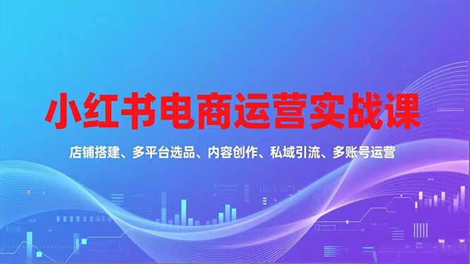 小红书电商运营实战课，店铺搭建、多平台选品、内容创作、私域引流、多账号运营等玩法-智云网