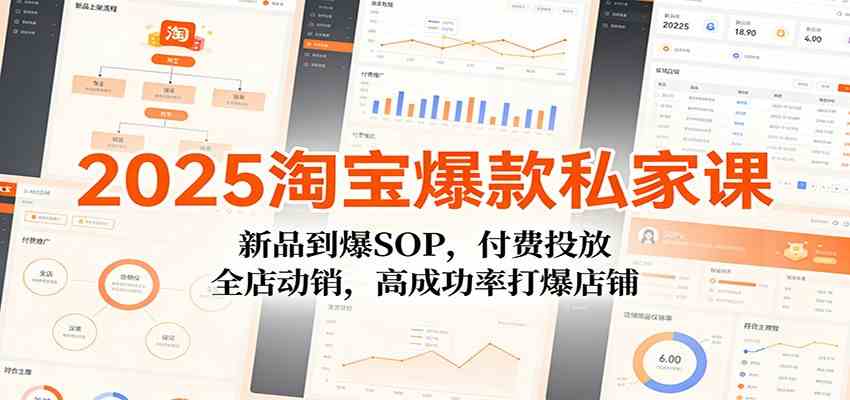 2025淘宝爆款私家课:新品到爆SOP,付费投放,全店动销,高成功率打爆店铺-智云网