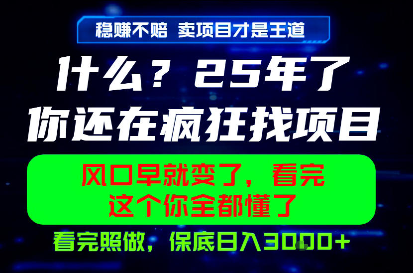 26年，请不要疯狂的找项目做了！卖项目才是真的稳賺不赔，看完照做，保底日入1k+【揭秘】-智云网