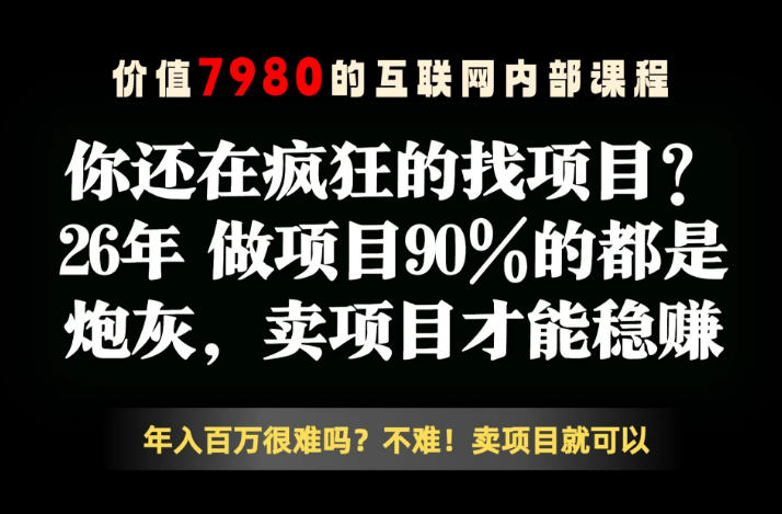 26年请不要疯狂的找项目了，卖项目远比你想象的暴利，你也可以月入10W+【揭秘】-智云网