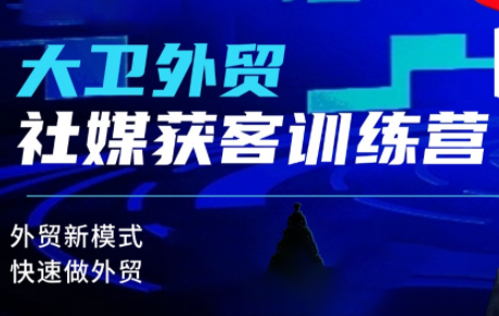 大卫老师·外贸社媒获客独家训练营(更新)-智云网