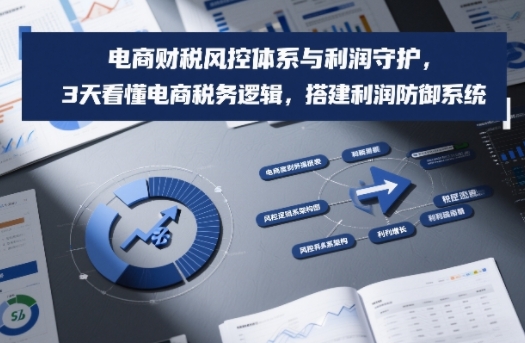 电商财税风控体系与利润守护，3天看懂电商税务逻辑，搭建利润防御系统-智云网