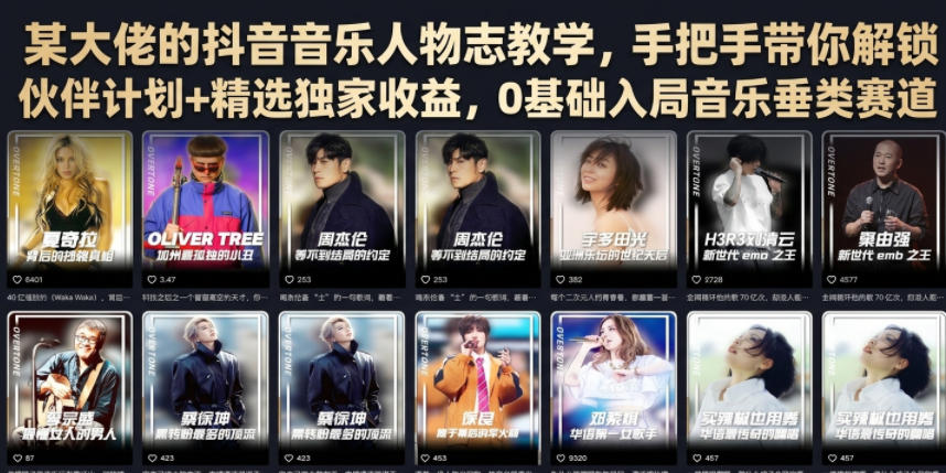 某大佬的抖音音乐人物志教学,手把手带你解锁伙伴计划+精选独家收益,0基础入局音乐垂类赛道-智云网