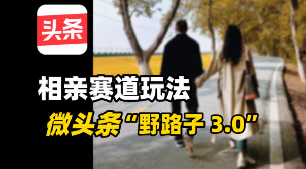 微头条“野路子3.0”相亲赛道玩法，搬砖式操作单号稳定3张-智云网