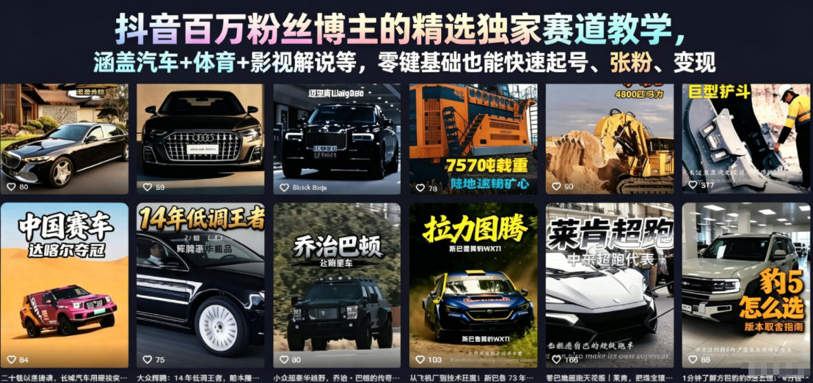 抖音百万粉丝博主的精选独家赛道教学，涵盖汽车+体育+影视解说等，零基础也能快速起号、涨粉、变现-智云网
