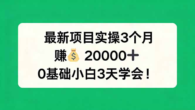 最新项目实操3个月，赚钱20000+，0基础小白3天学会！-智云网
