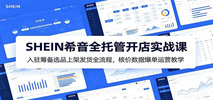 SHEIN希音全托管开店实战课：入驻筹备选品上架发货全流程，核价数据爆单运营教学-智云网