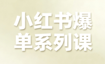 小红书爆单系列课，聚焦小红书电商全链路增长（更新）-智云网