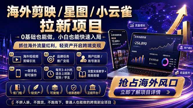 （18567期）海外剪映 / 星图 / 小云雀拉新项目 普通人也能上手的跨境流量变现副业-智云网