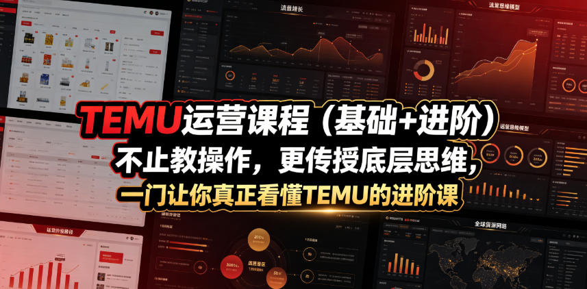 TEMU运营课程(基础+进阶),不止教操作,更传授底层思维,一门让你真正看懂TEMU的进阶课 TEMU运营课程(基础+进阶),不止教操作,更传授底层思维,一门让你真正看懂TEMU的进阶课