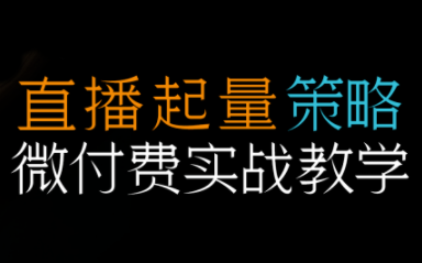 半野老师·直播带货起量与微付费必学课视频号-智云网